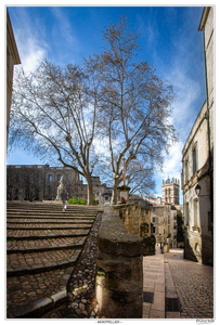 CC 20260312 141432-HDR-2