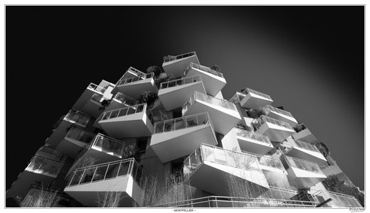 CC 20260317 150550-HDR