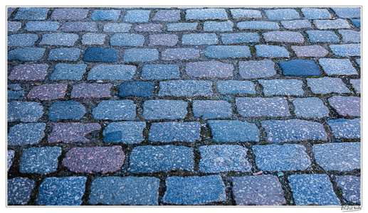 CC 20190224 154350-3